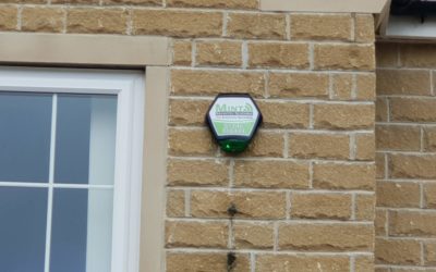 Mint Security Systems Ace Quality Standards Inspections