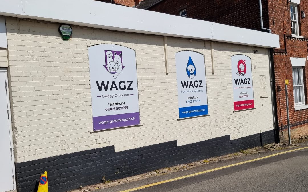 Security system installation at Wagz Pet Boutique in Bassetlaw