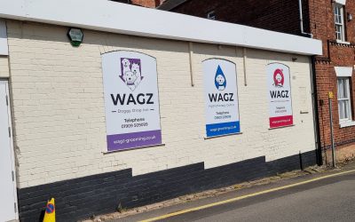 Security system installation at Wagz Pet Boutique in Bassetlaw